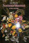 sommerblumen 62