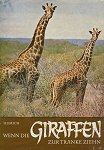giraffen 5