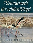 wunderwelt 150 3